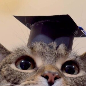 صورة الملف الشخصي من هبه