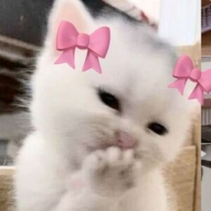 صورة الملف الشخصي من نور المالكي