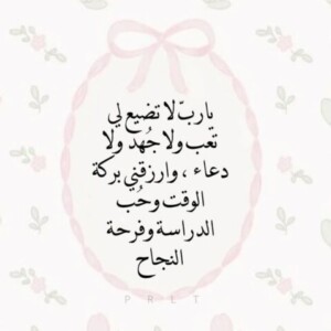 صورة الملف الشخصي من نور الراشدي