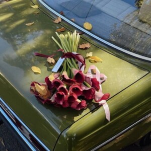 صورة الملف الشخصي من alzahra