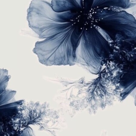 صورة الملف الشخصي من شهد البلوشي