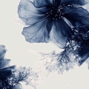 صورة الملف الشخصي من شهد البلوشي