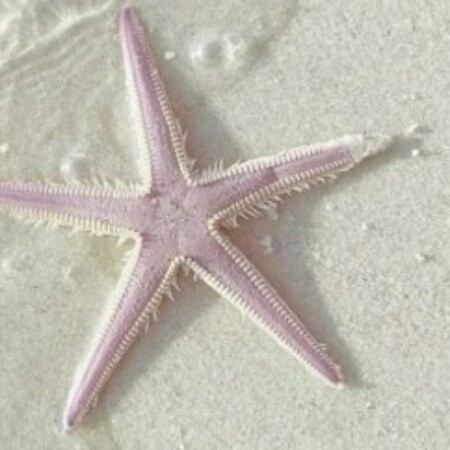 صورة الملف الشخصي من مريم مصطفى خلف