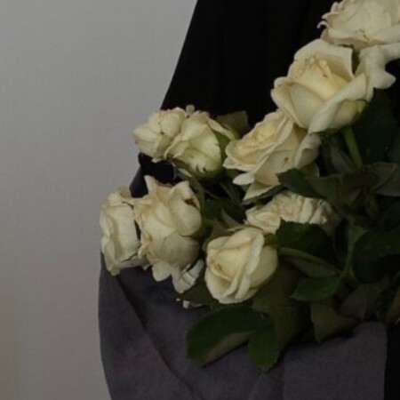 صورة الملف الشخصي من ريم فهد سالم الزيدي