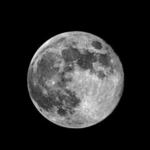 صورة الملف الشخصي من مريم يونس البلوشي