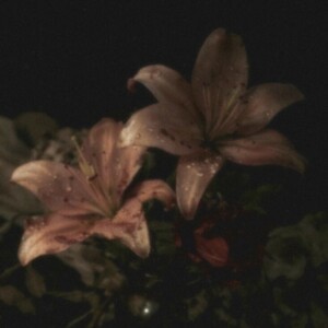 صورة الملف الشخصي من سارة عمر الهطالي