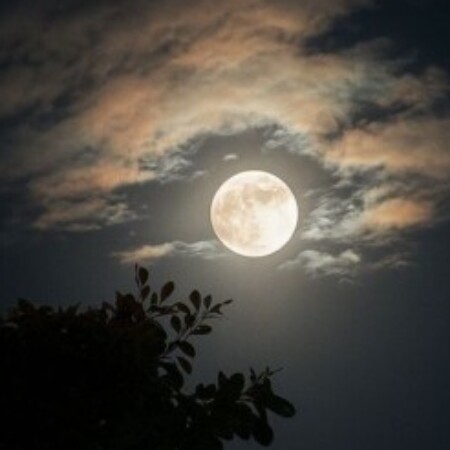 صورة الملف الشخصي من إباء محمد سعود المشايخيه