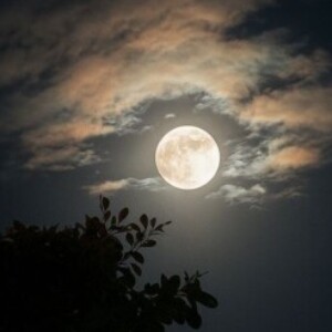 صورة الملف الشخصي من إباء محمد سعود المشايخيه