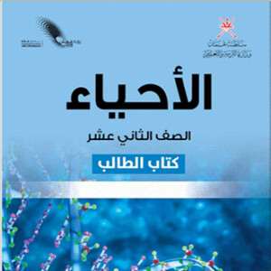 شعار مجموعة من أحياء صيفي 2025