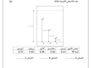 اختبار قصير 3صوره 2